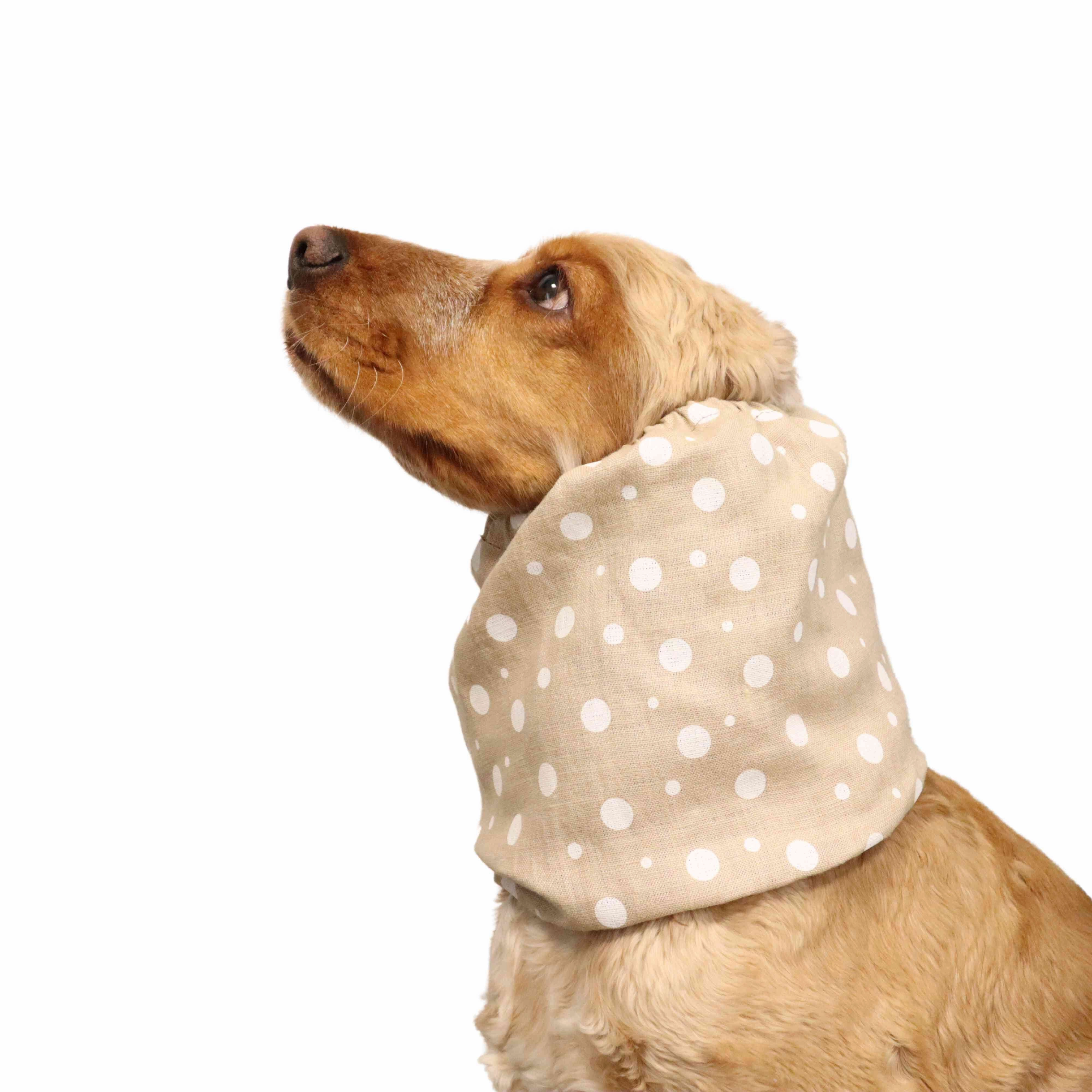 Linen Dog Snood | Beige Dots