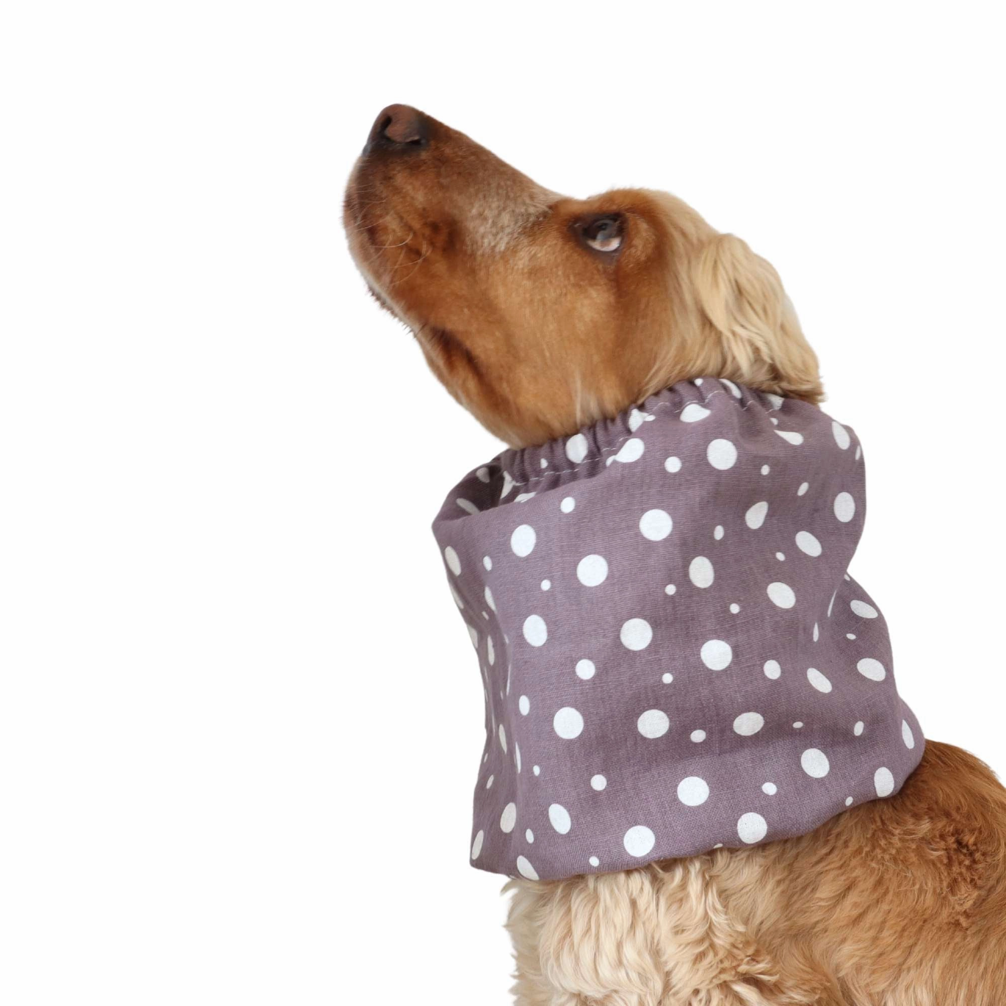 Linen Dog Snood | Dots in Dusty Violet