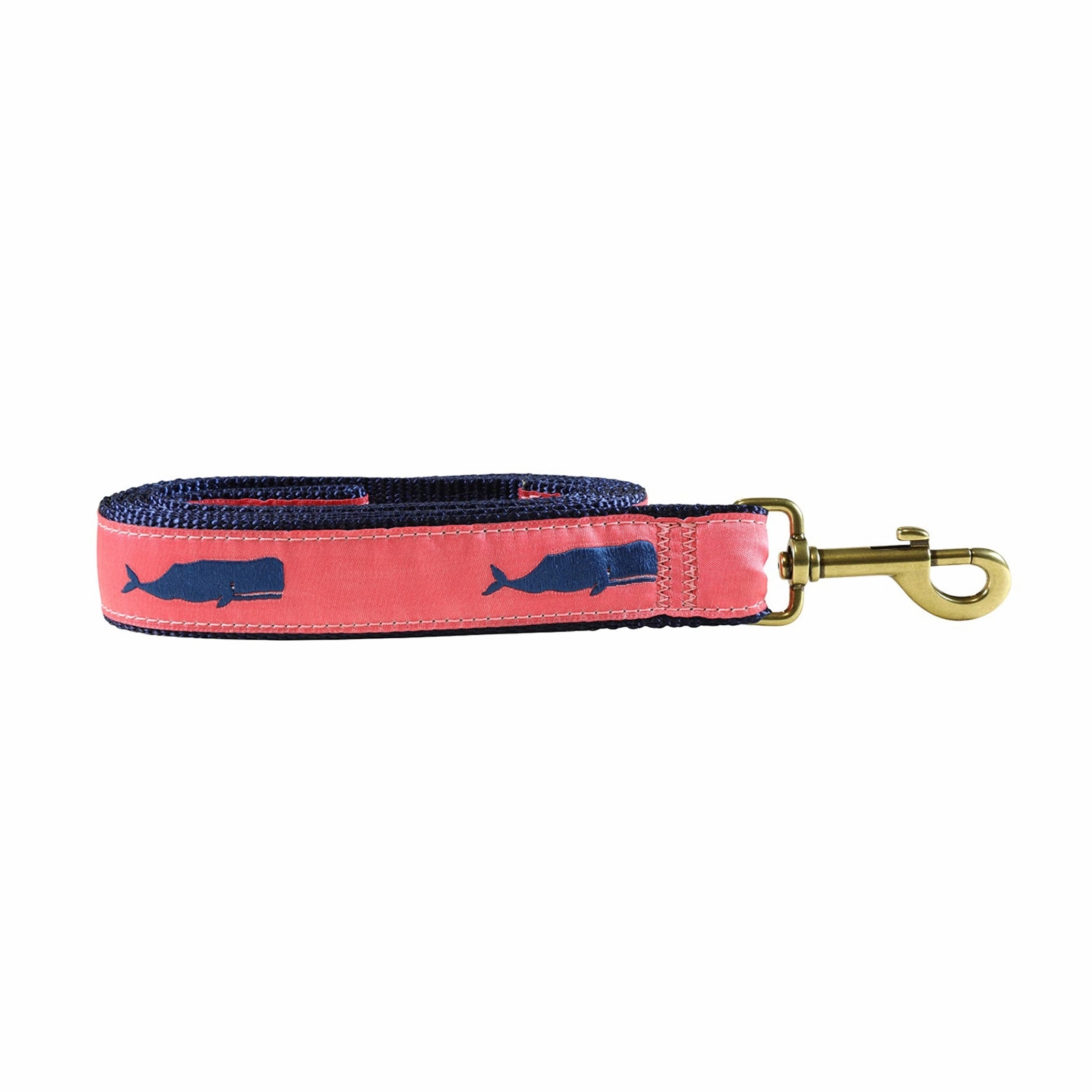 Moby Whale Ribbon Dog Leash