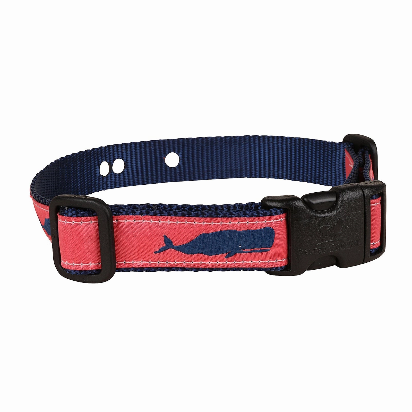 Moby Whale Underground Fence Dog Collar