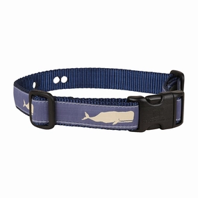 Moby Whale Underground Fence Dog Collar