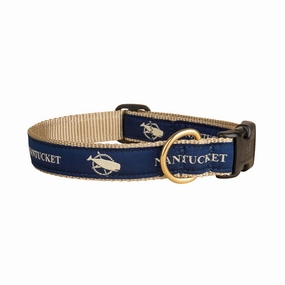 Nantucket Flag Ribbon Dog Collar