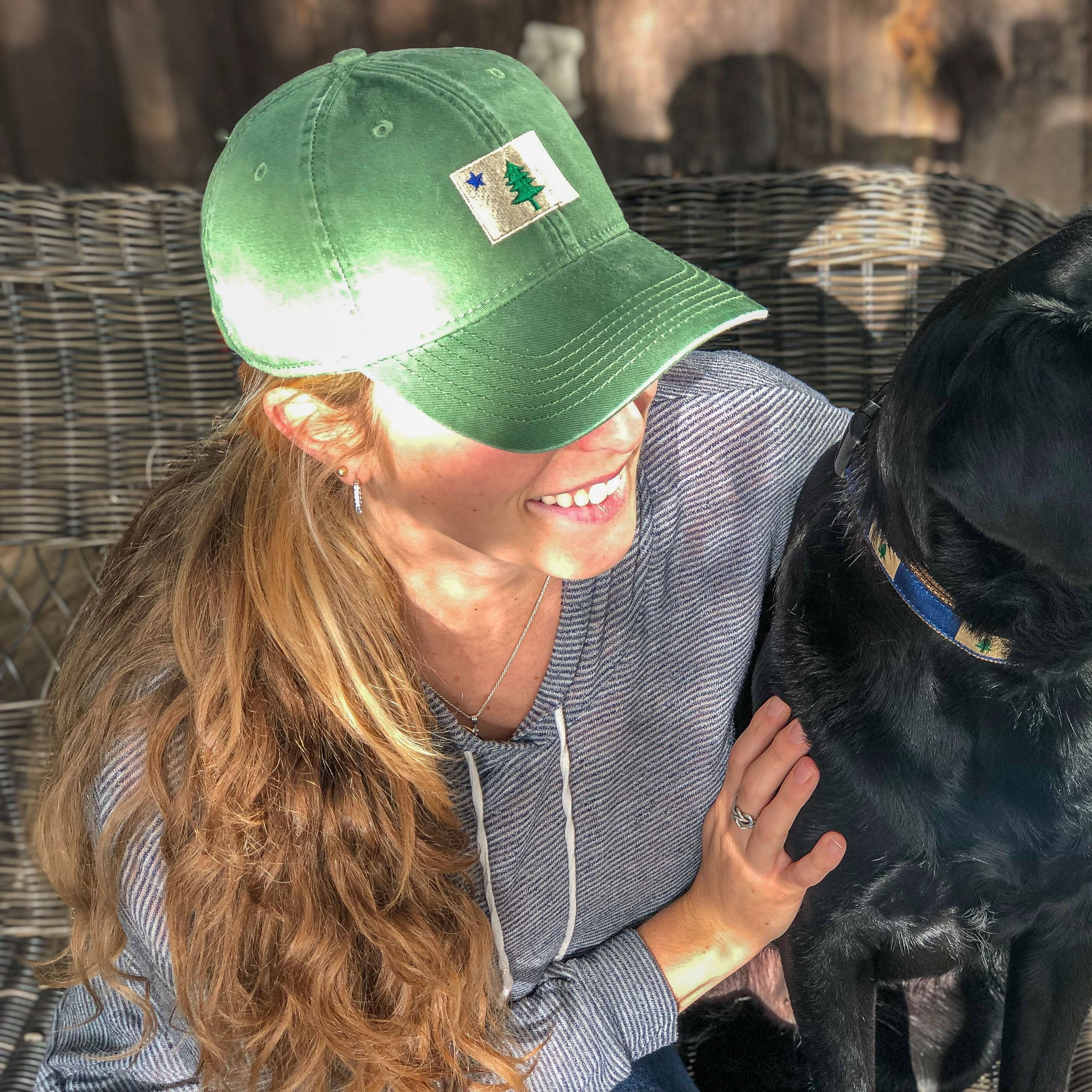 Original Maine Flag Dad Hat