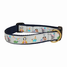 Party Animals Ribbon Dog Collar