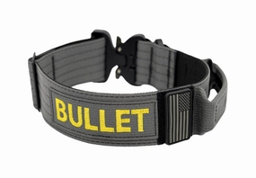 Personalized Extreme 2 inch Dog Collar with Handle