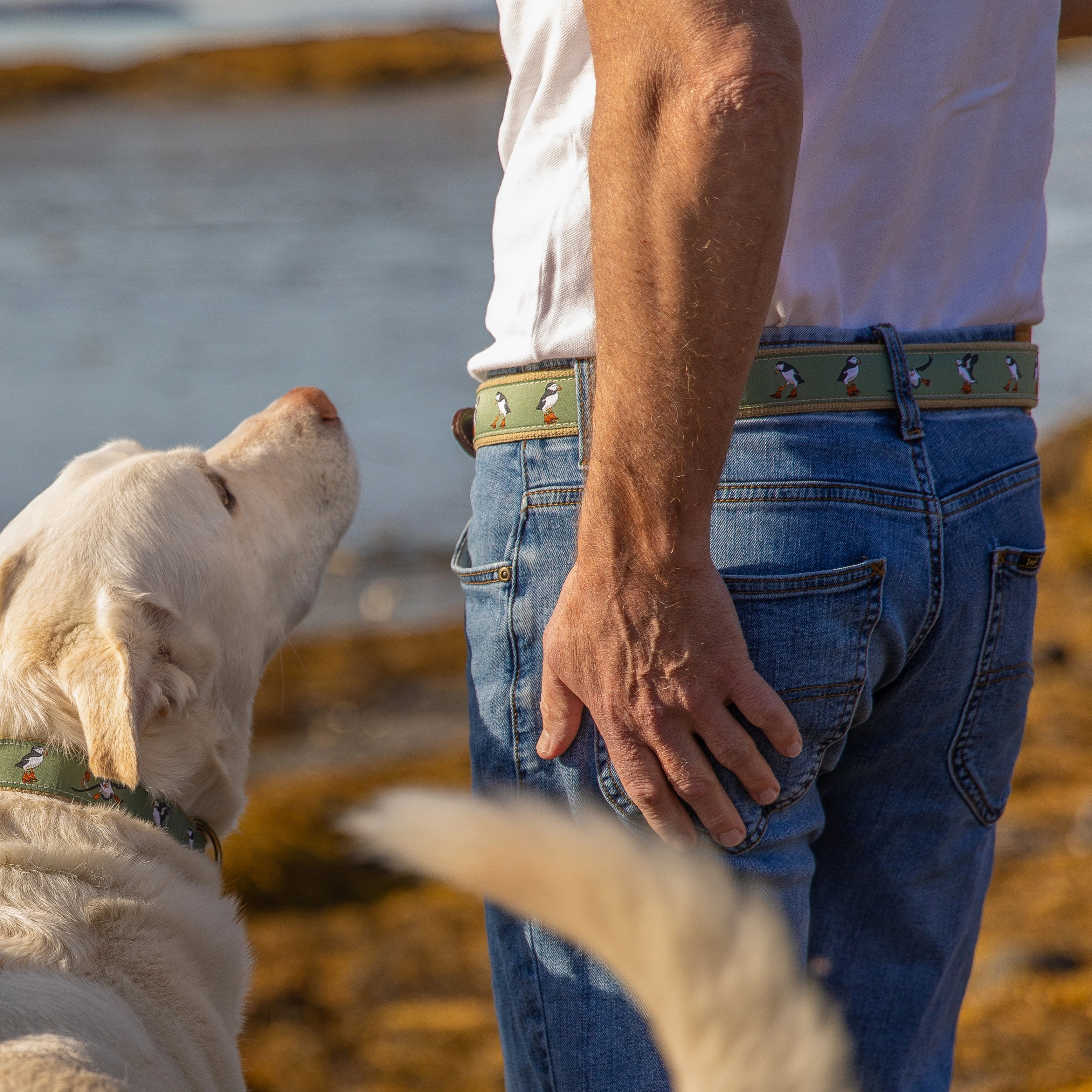 Puffins Ribbon D-Ring Belt
