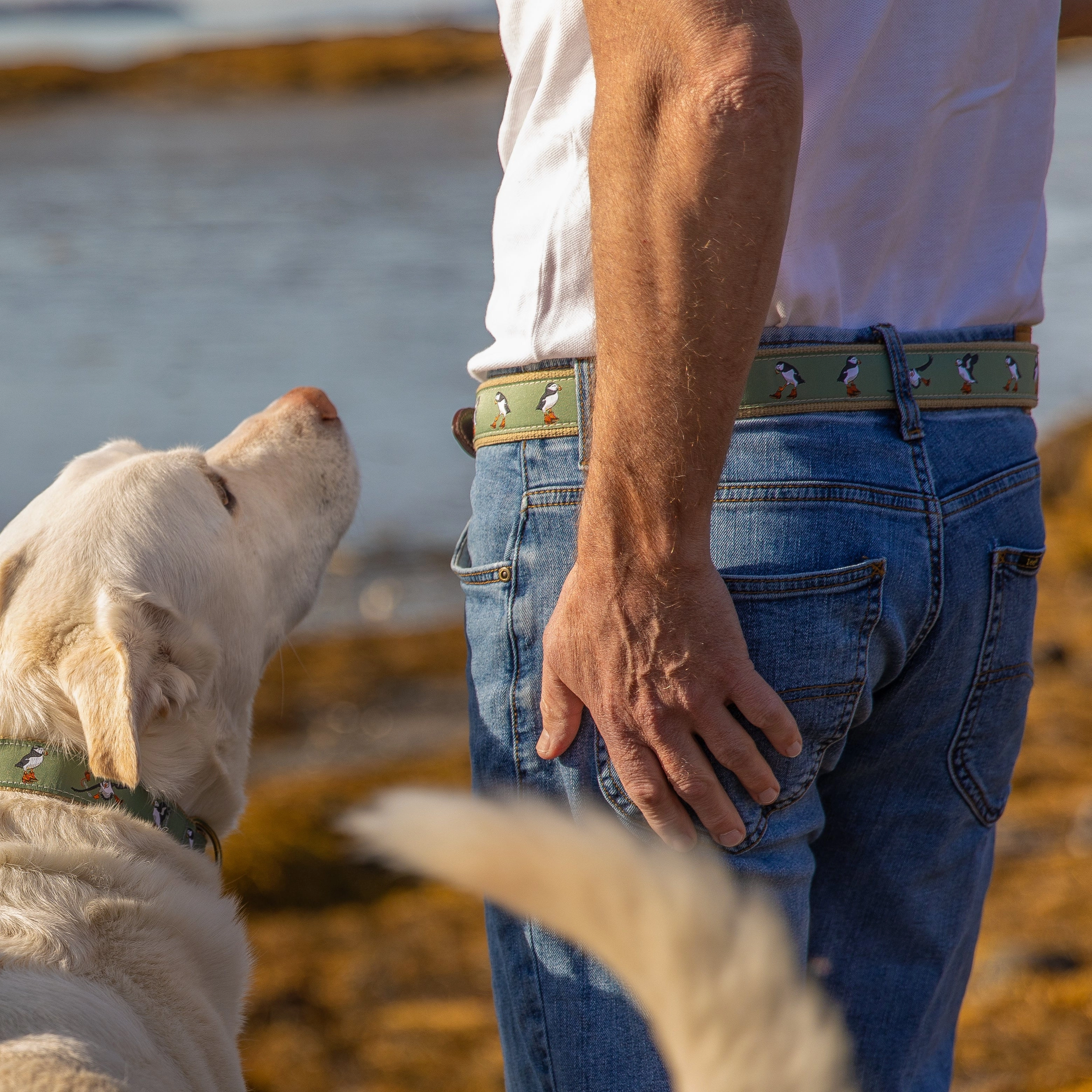 Puffins Ribbon D-Ring Belt