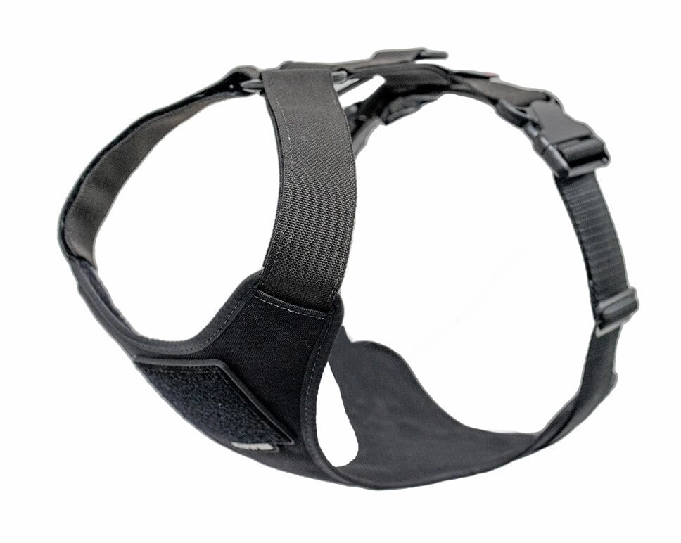 Recon Harness