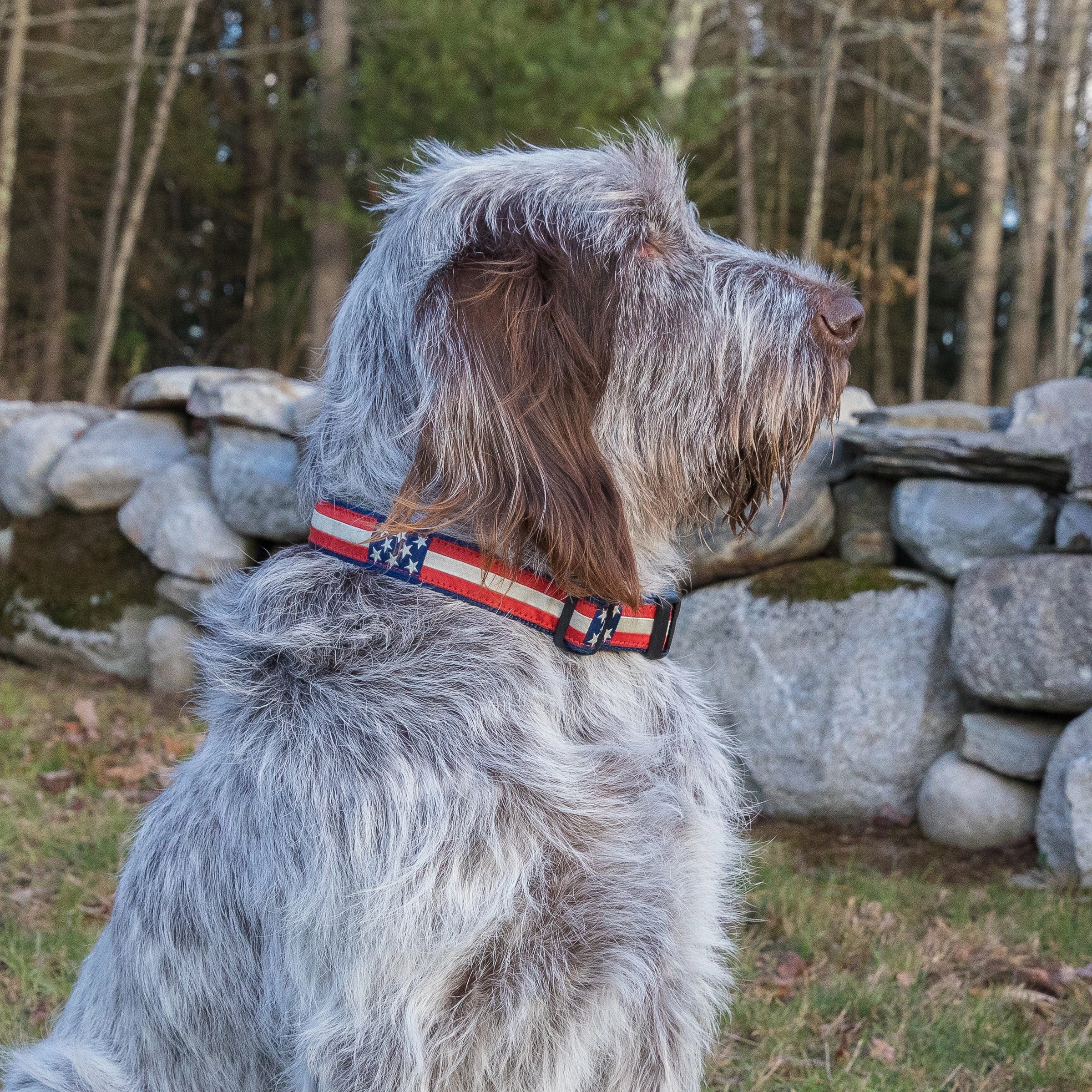Retro Flag Ribbon Dog Collar