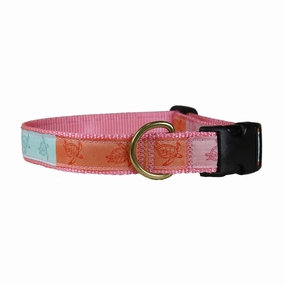 Sea Turtles Ribbon Dog Collar
