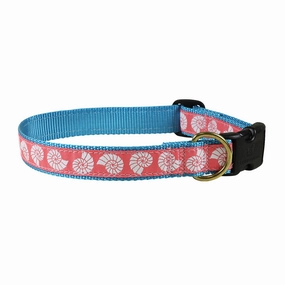 Seashells Ribbon Dog Collar