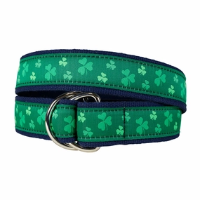 Shamrock Ribbon D-Ring Belt