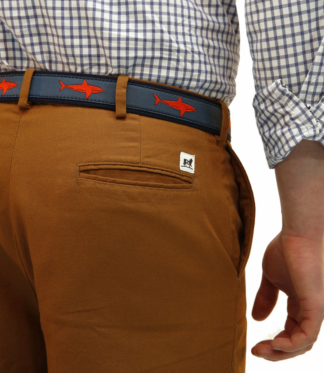Shark Ribbon Club Belt