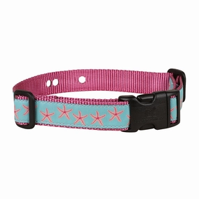 Starfish Underground Fence Dog Collar