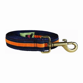 Striped Ribbon Dog Leash