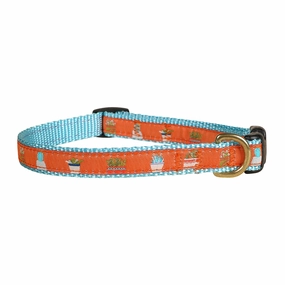 Succulents Ribbon Dog Collar