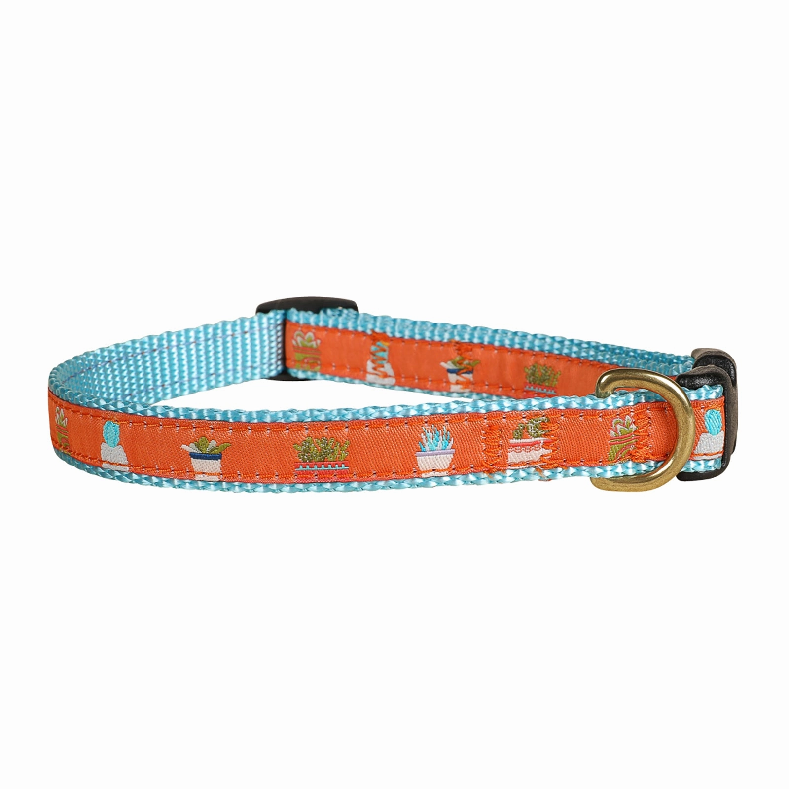 Succulents Ribbon Dog Collar