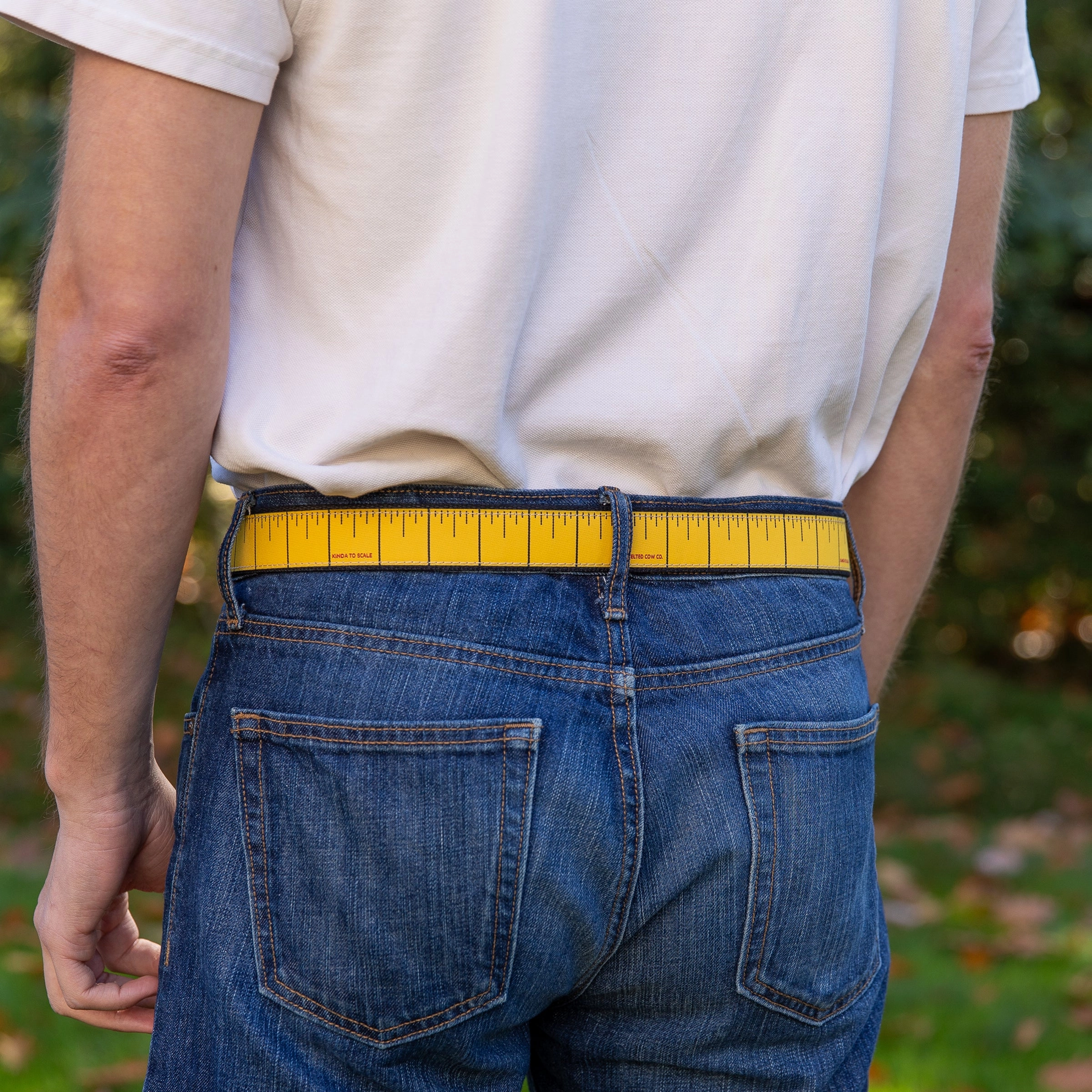 Tape Measure Ribbon D-Ring Belt