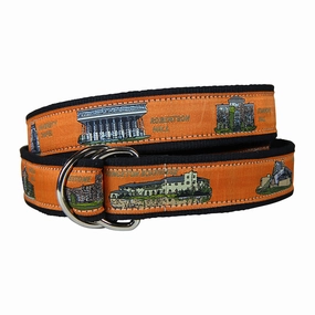 View from the Green | Princeton Ribbon D-Ring Belt