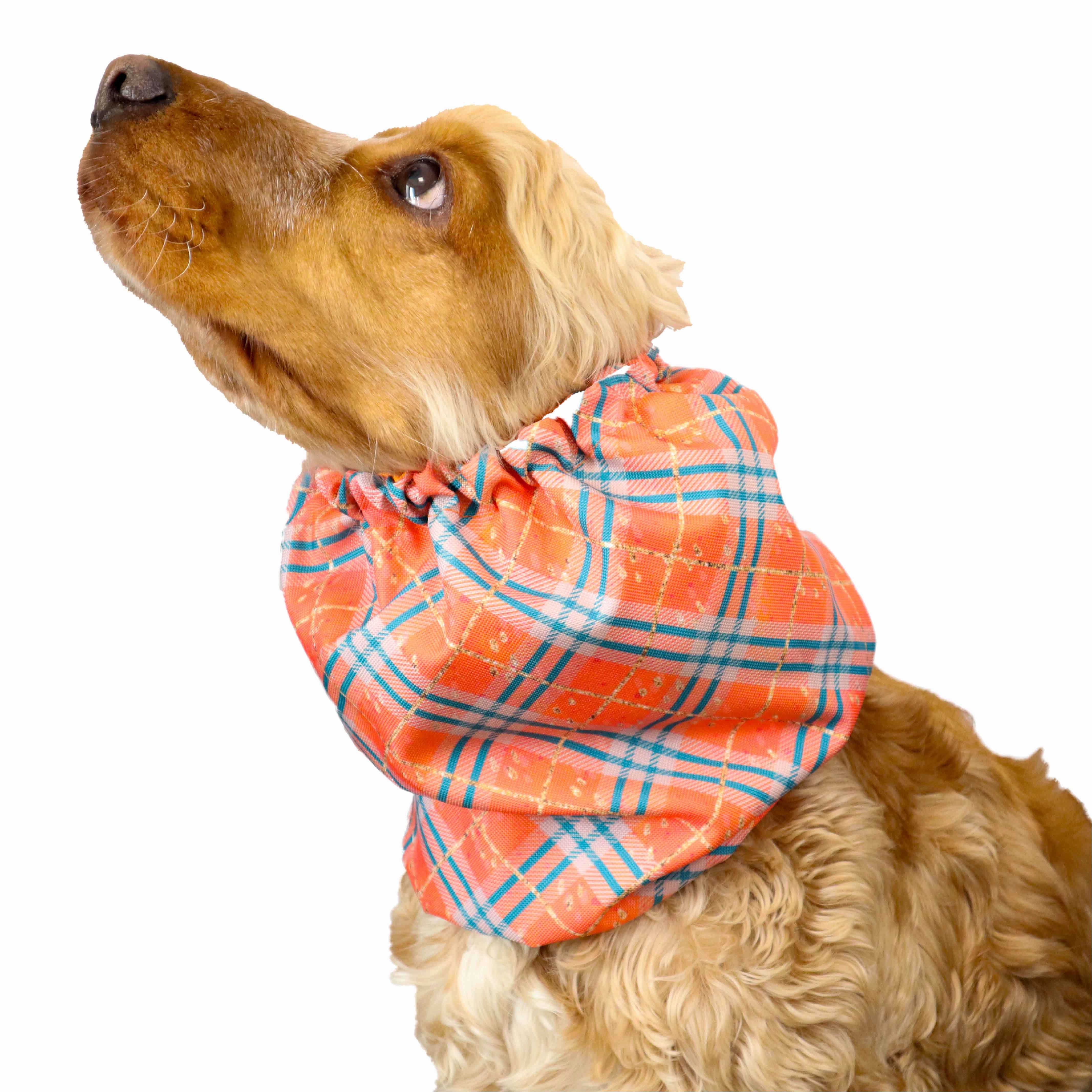 Waterproof Daily Dog Snood | Tartan