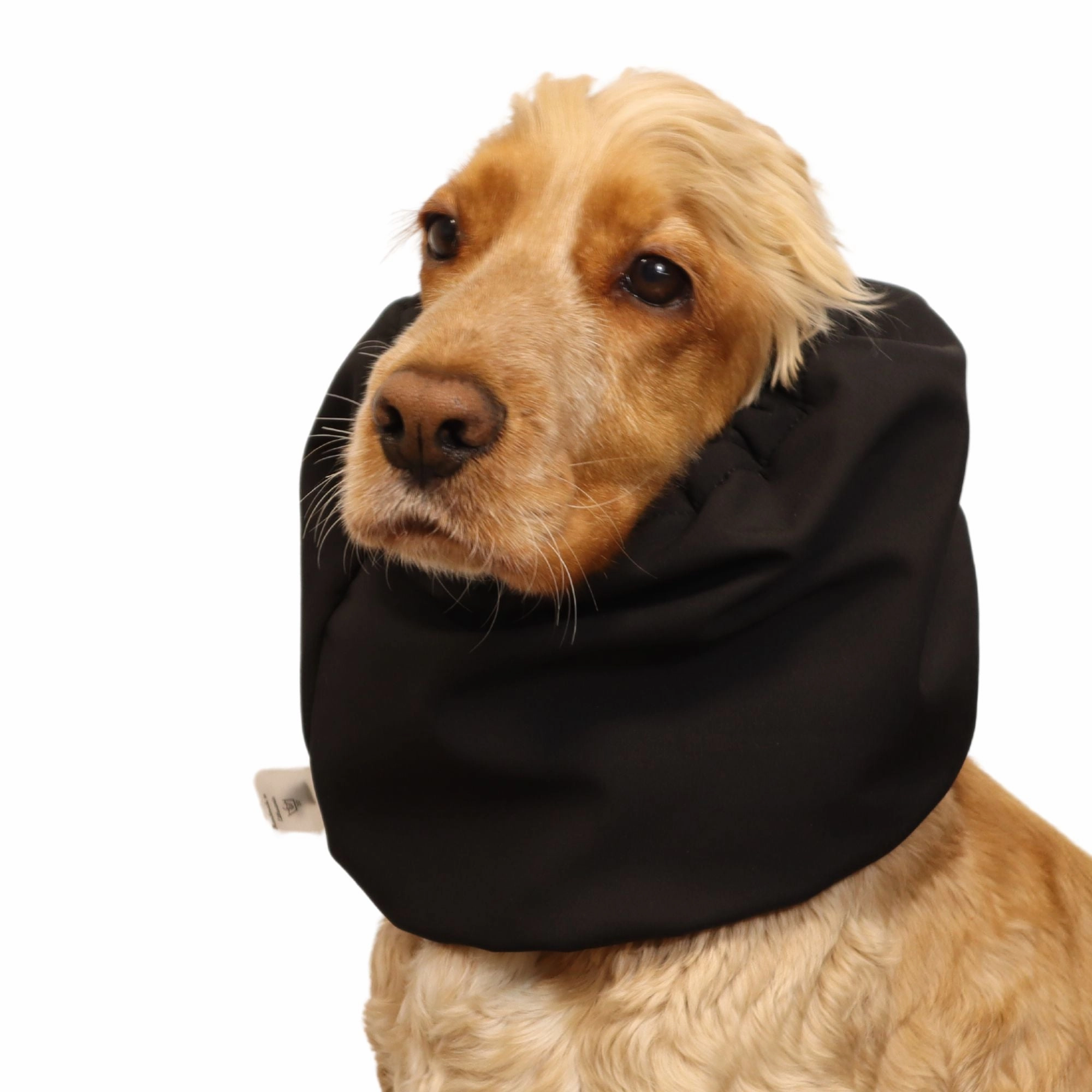Waterproof Daily Dog Snood | Winter Snood | Black
