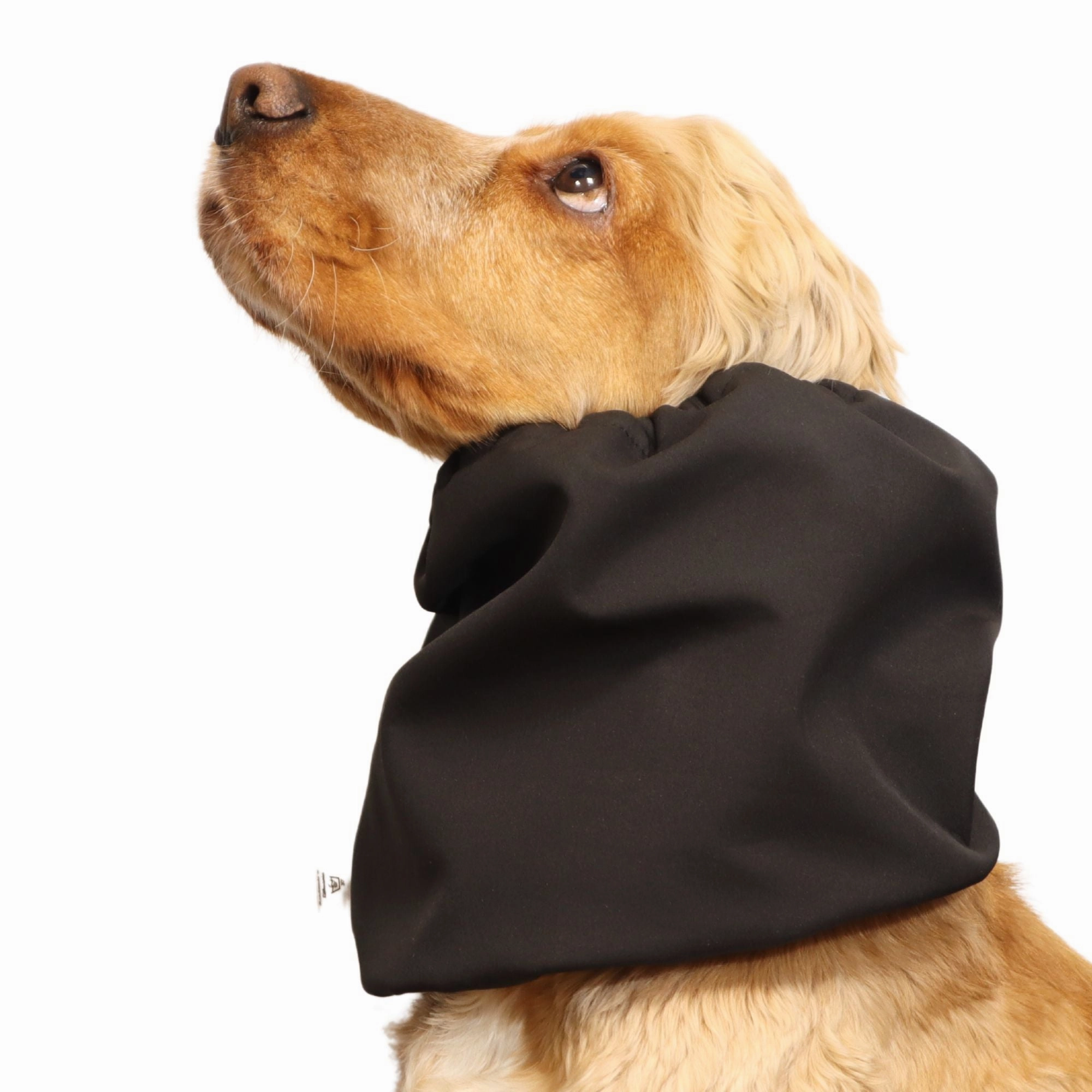 Waterproof Daily Dog Snood | Winter Snood | Black