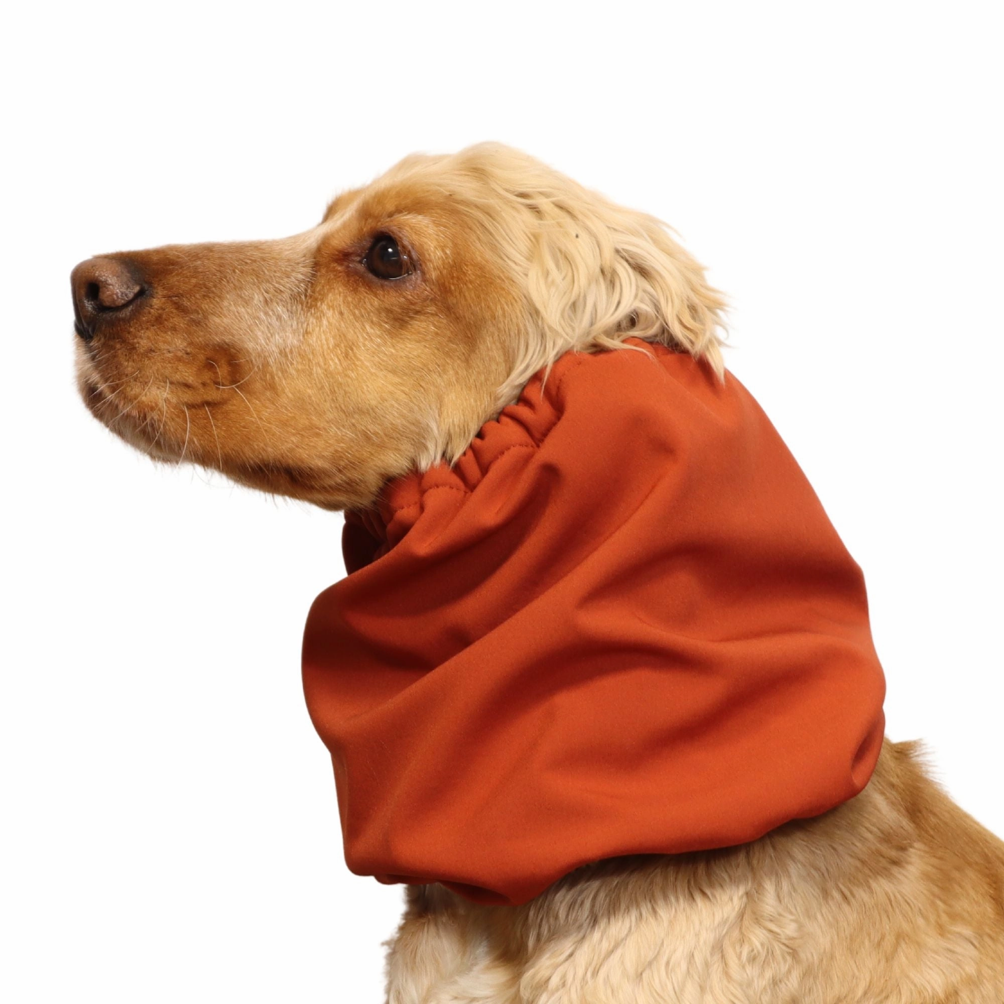 Waterproof Daily Dog Snood | Winter Snood | Burnt Orange