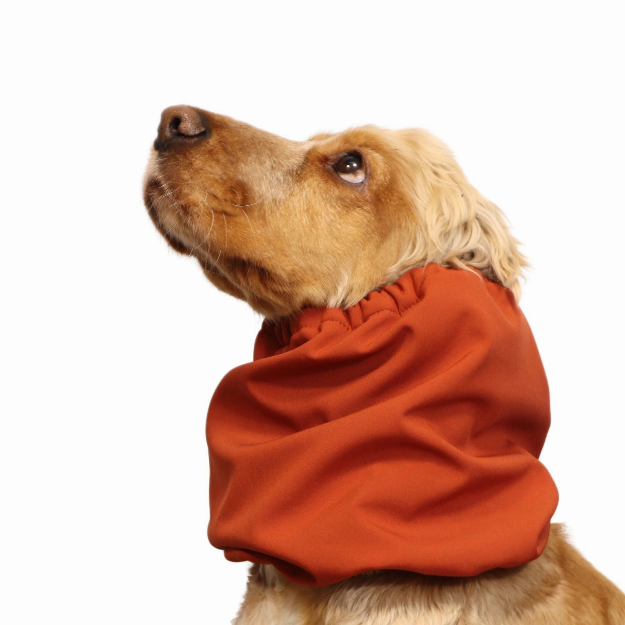 Waterproof Daily Dog Snood | Winter Snood | Burnt Orange