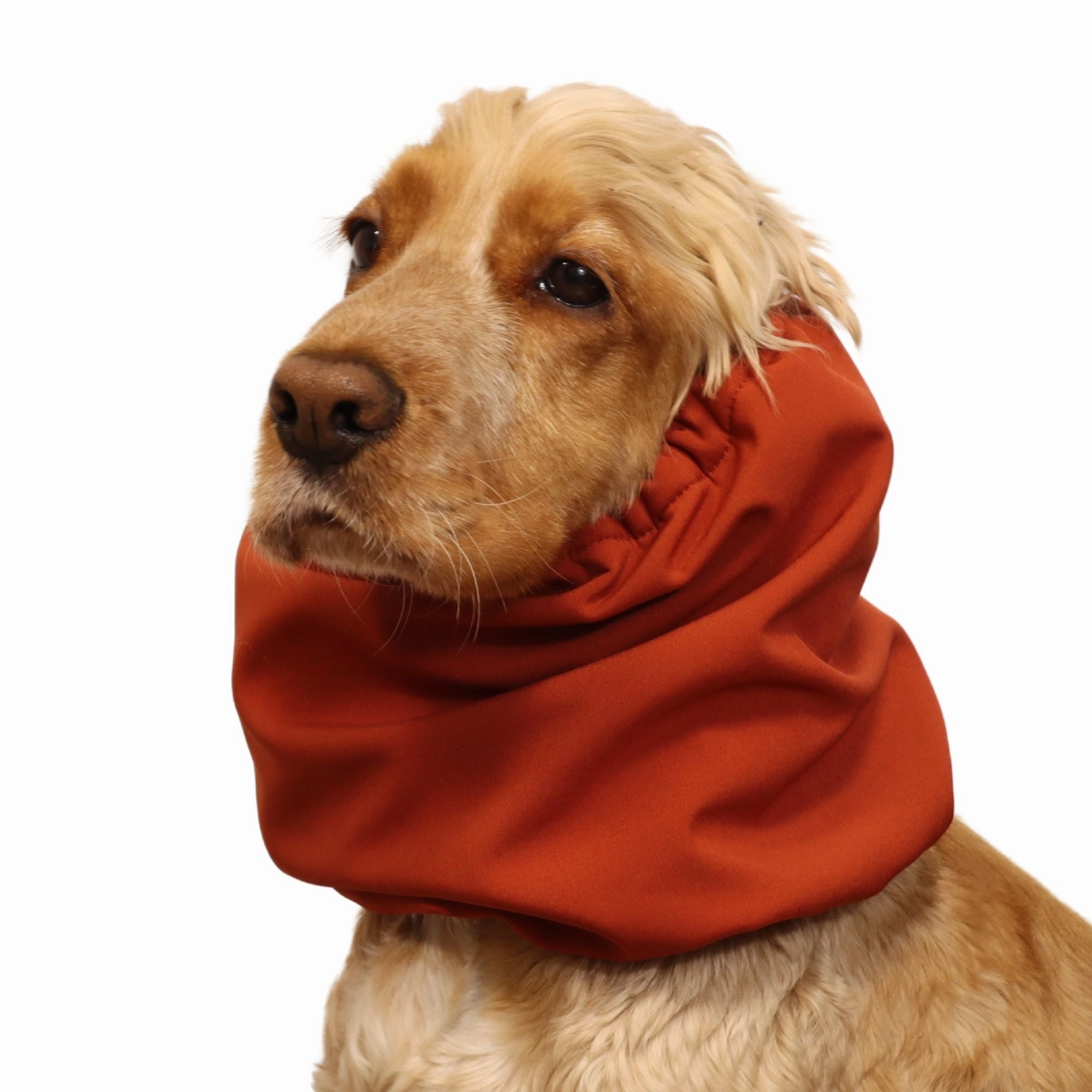 Waterproof Daily Dog Snood | Winter Snood | Burnt Orange