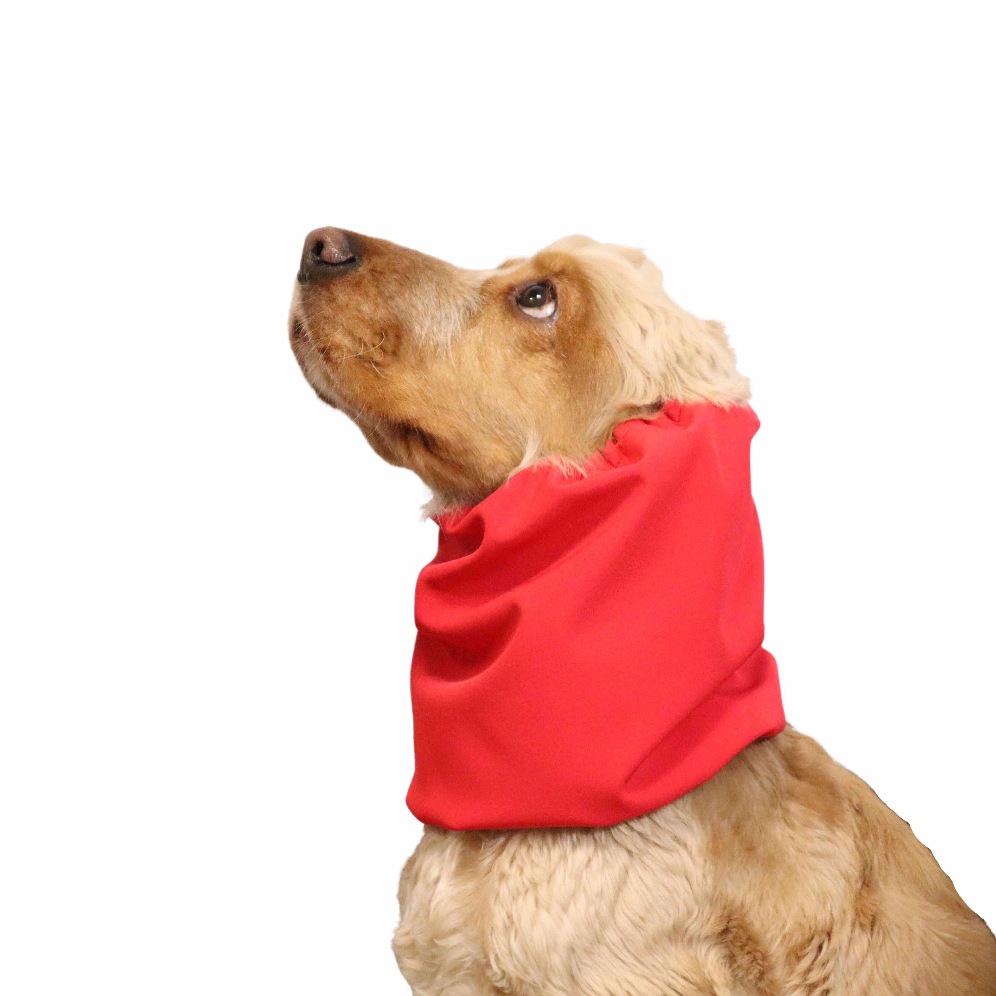 Waterproof Daily Dog Snood | Winter Snood | Red