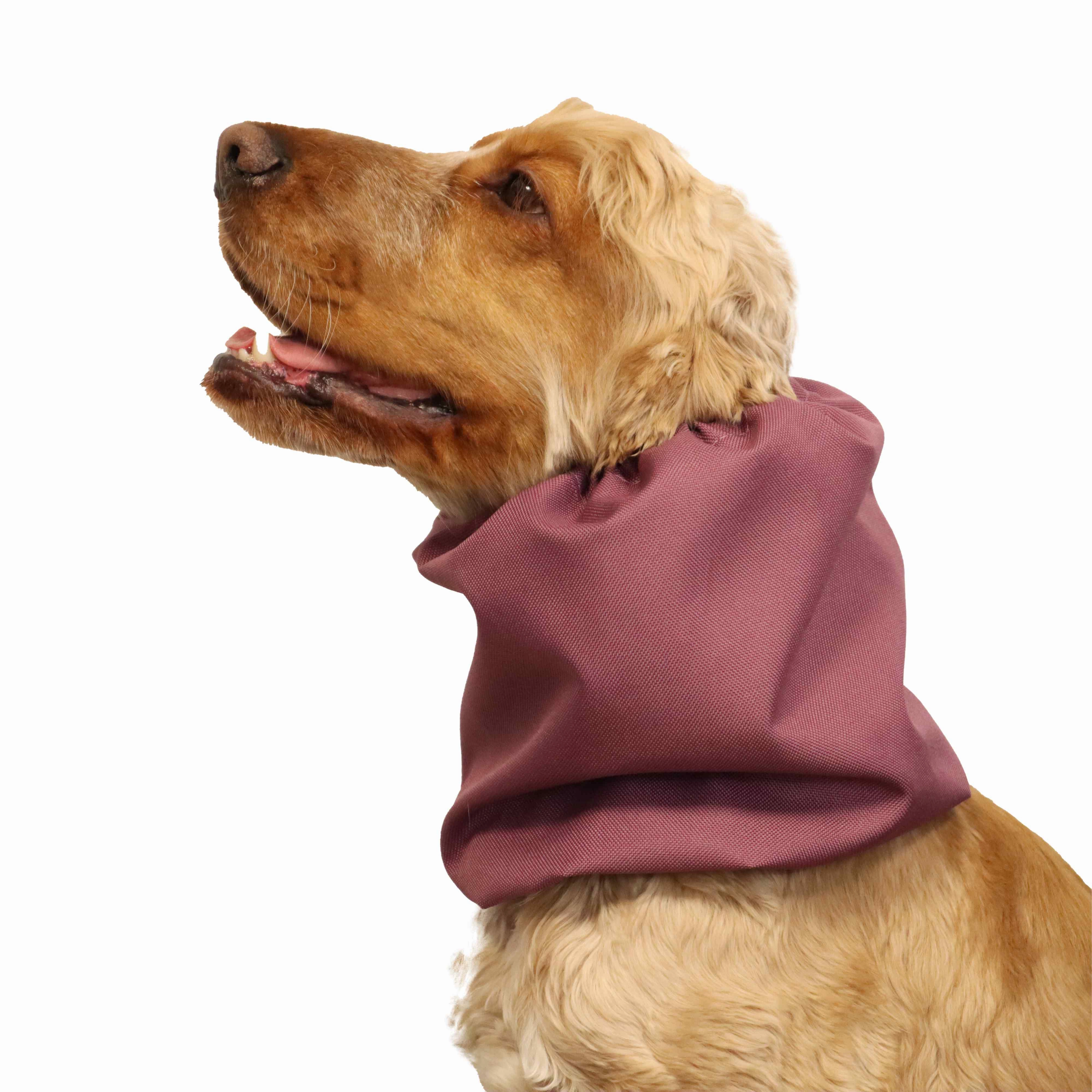 Waterproof Dog Snood | Acid Burgundy