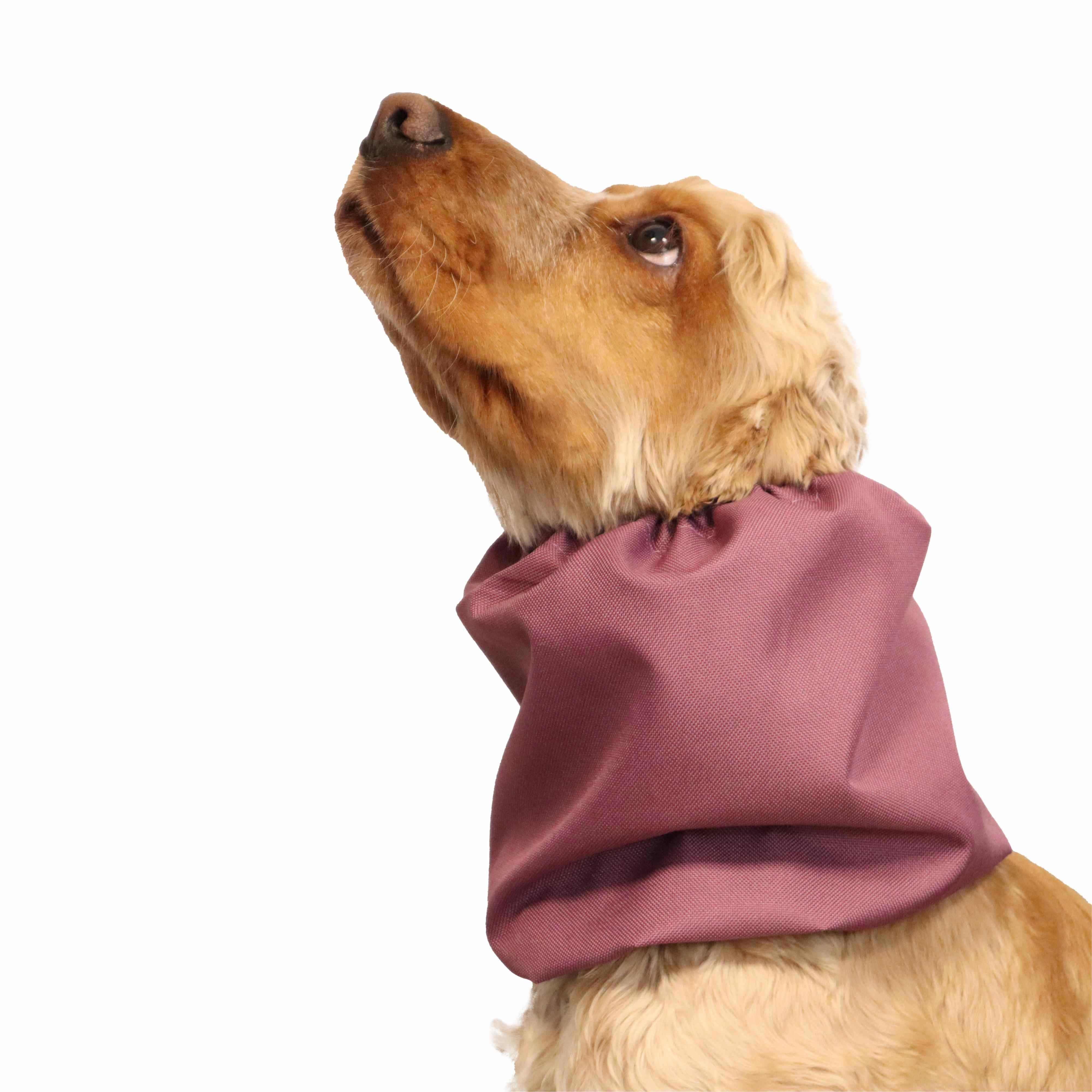 Waterproof Dog Snood | Acid Burgundy