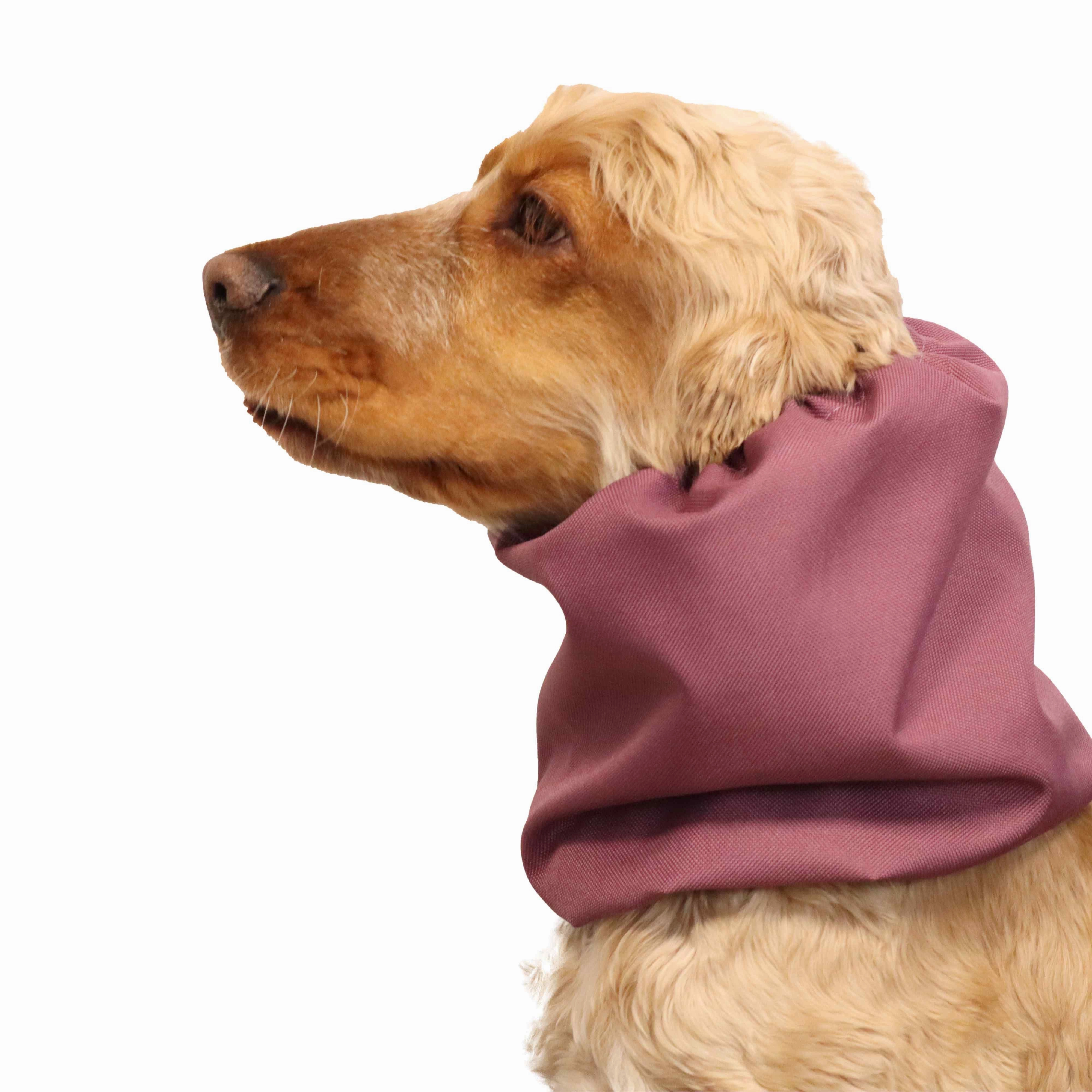 Waterproof Dog Snood | Acid Burgundy