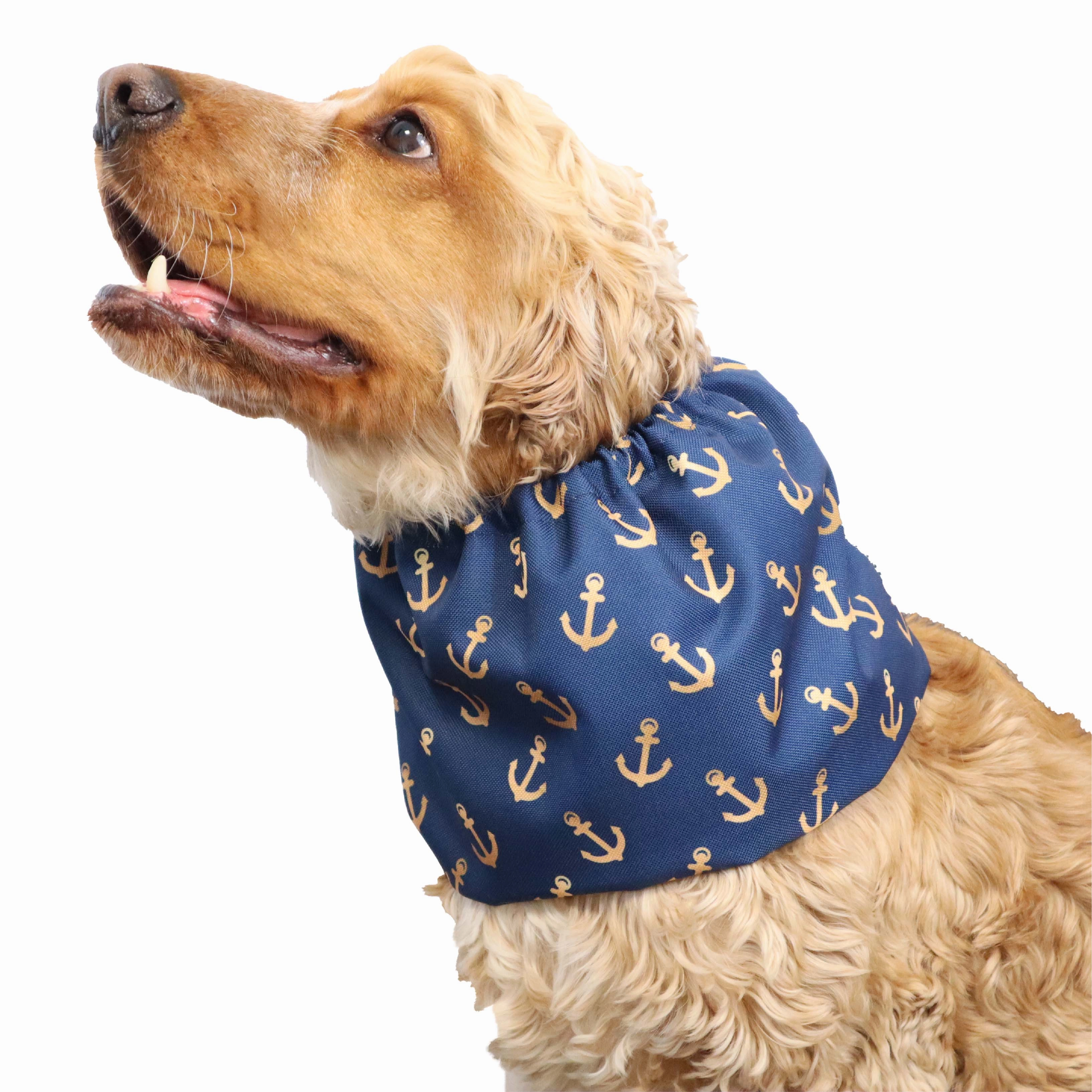 Waterproof Dog Snood | Anchors