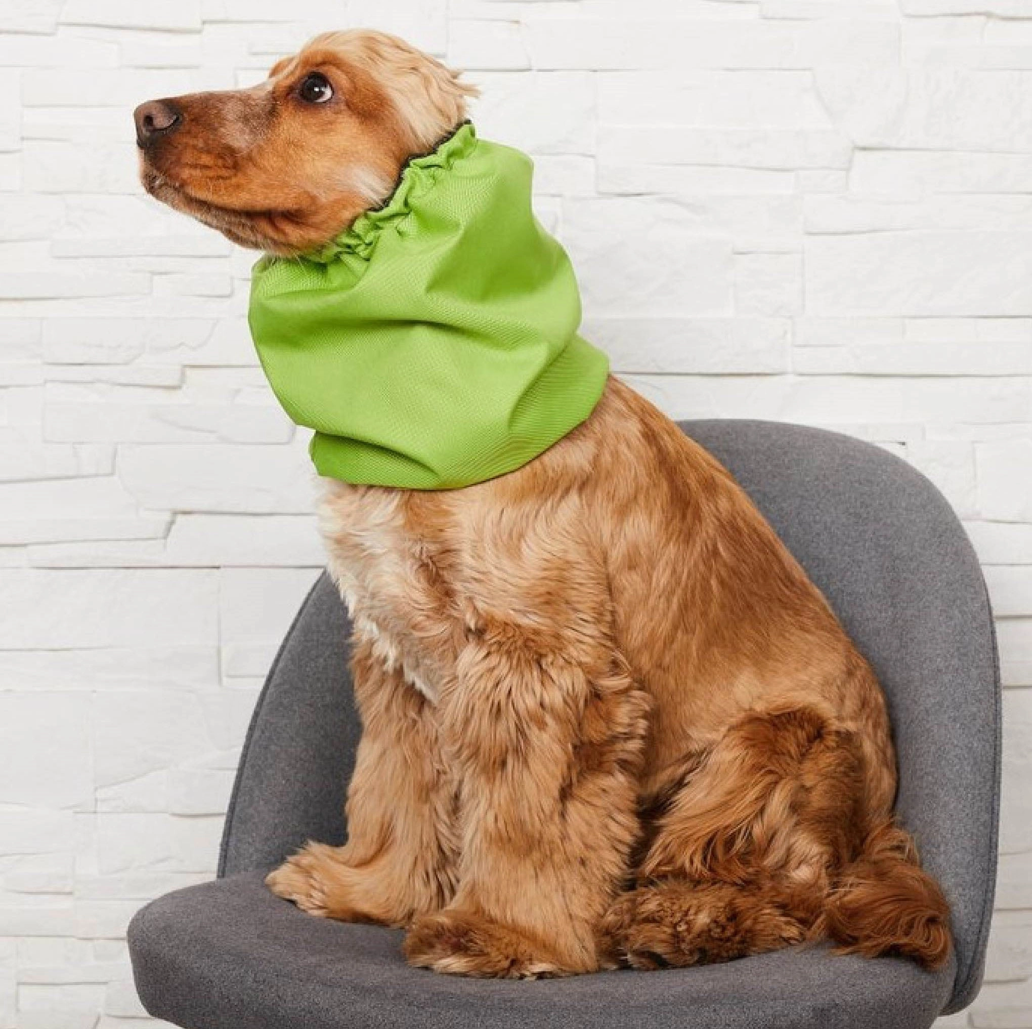 Waterproof Dog Snood | Apple Green