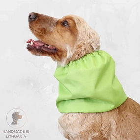 Waterproof Dog Snood | Apple Green