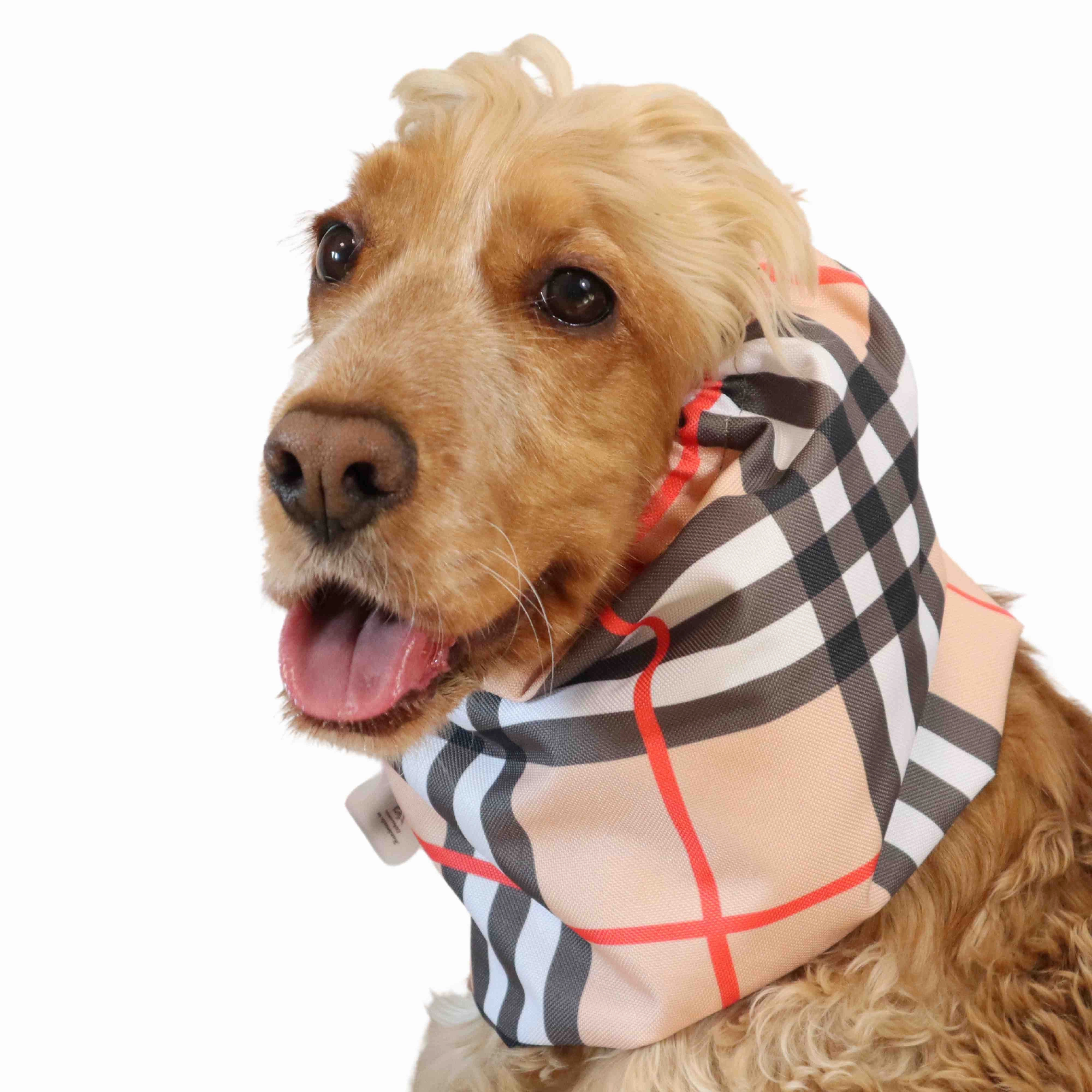 Waterproof Dog Snood | Beige Tartan