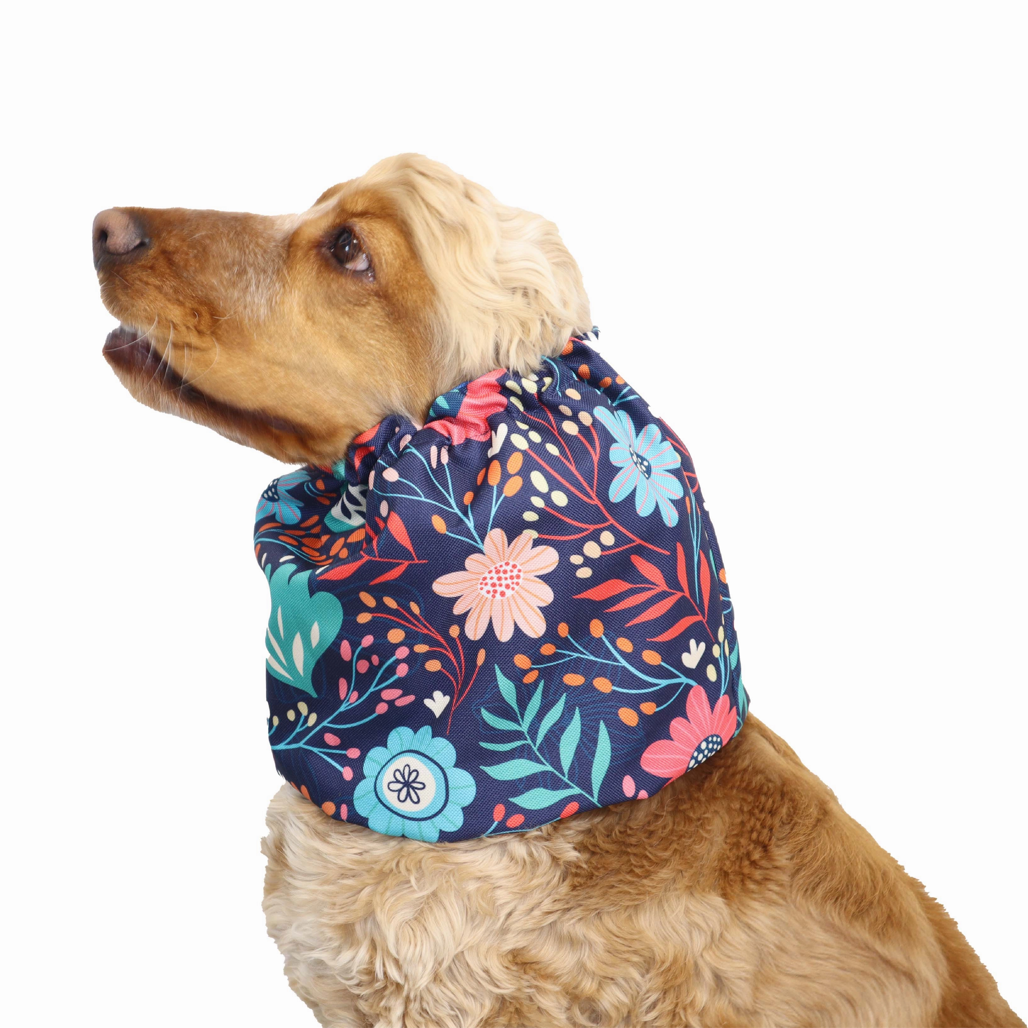 Waterproof  Dog Snood | Birds In The Morning