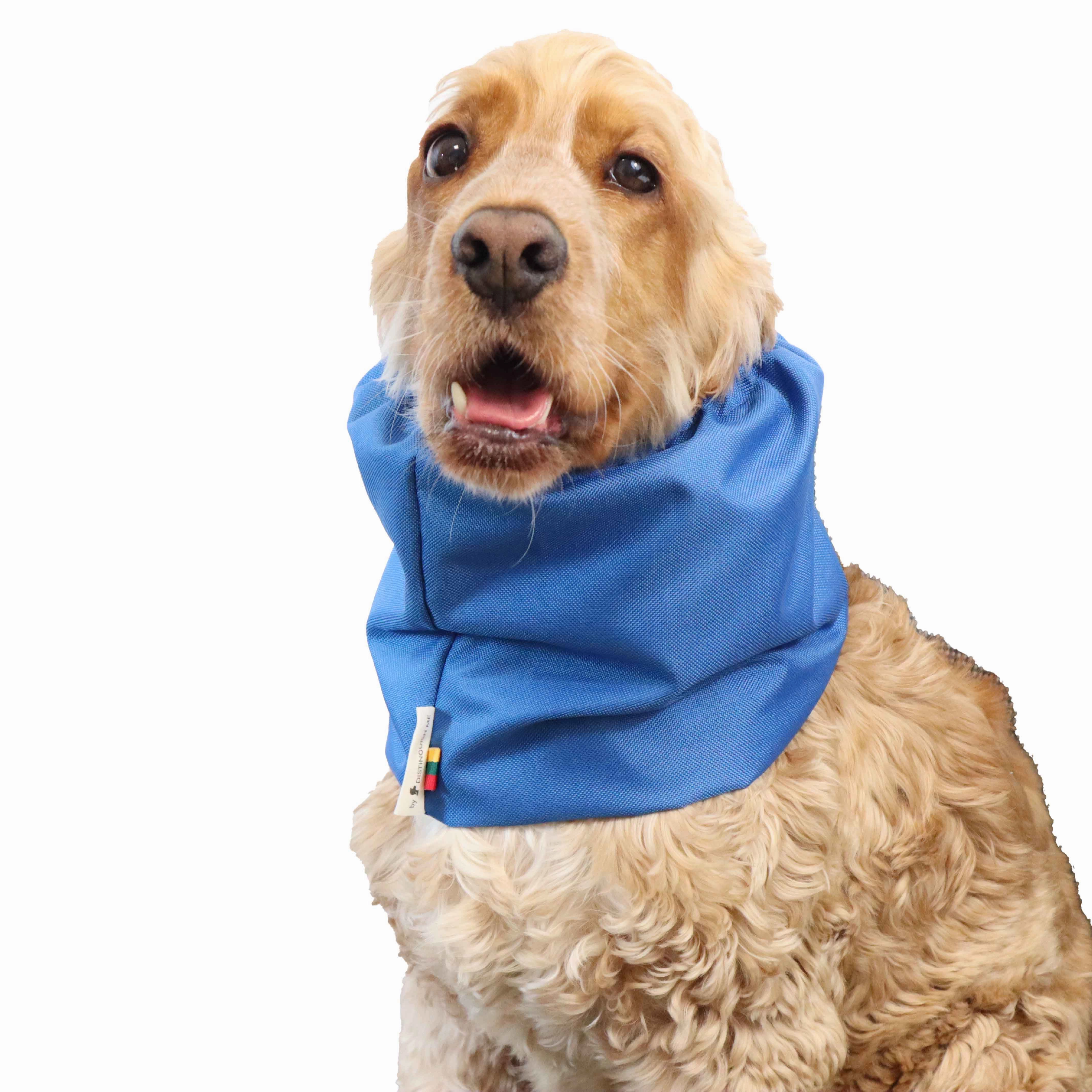 Waterproof  Dog Snood | Blue
