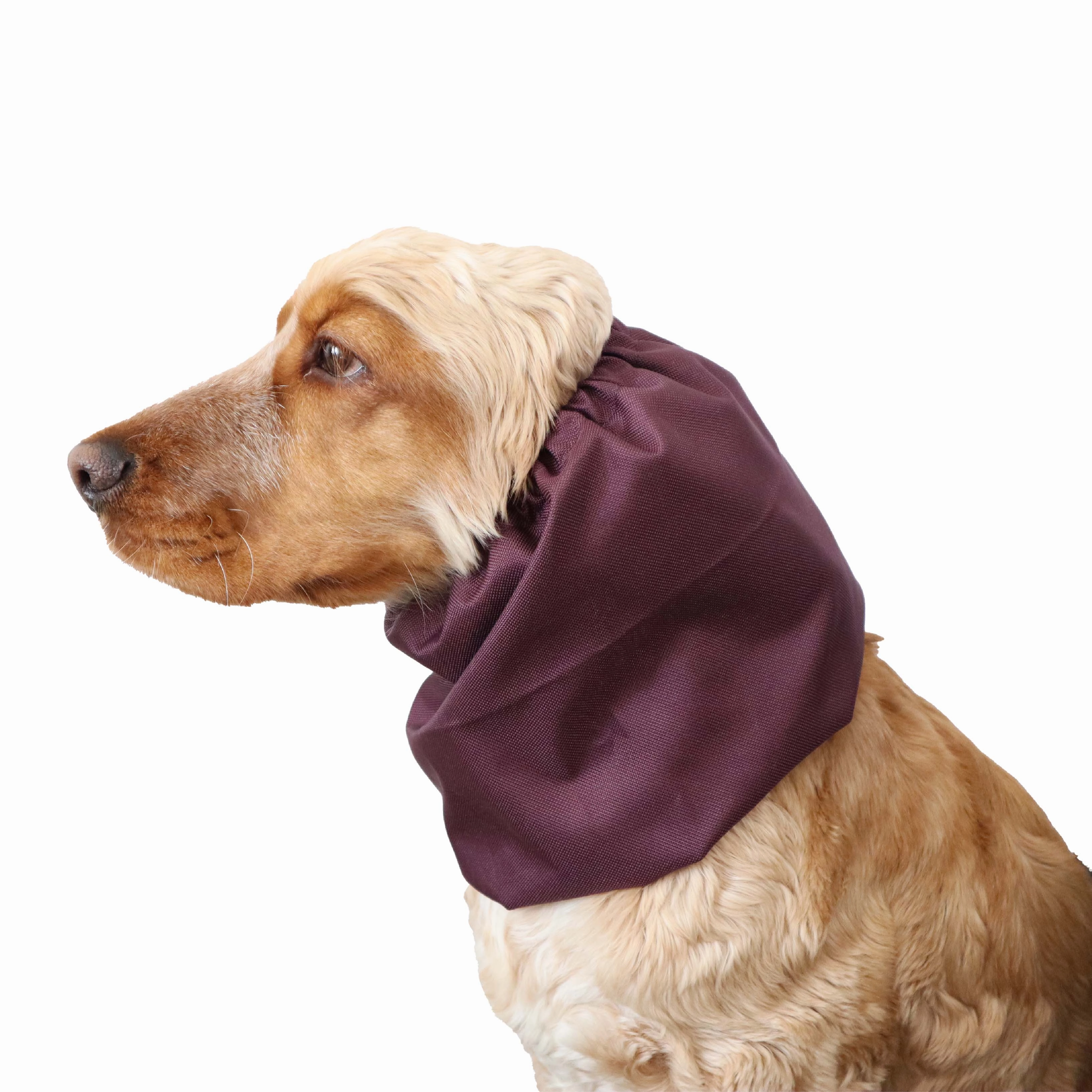 Waterproof Dog Snood | Burgundy