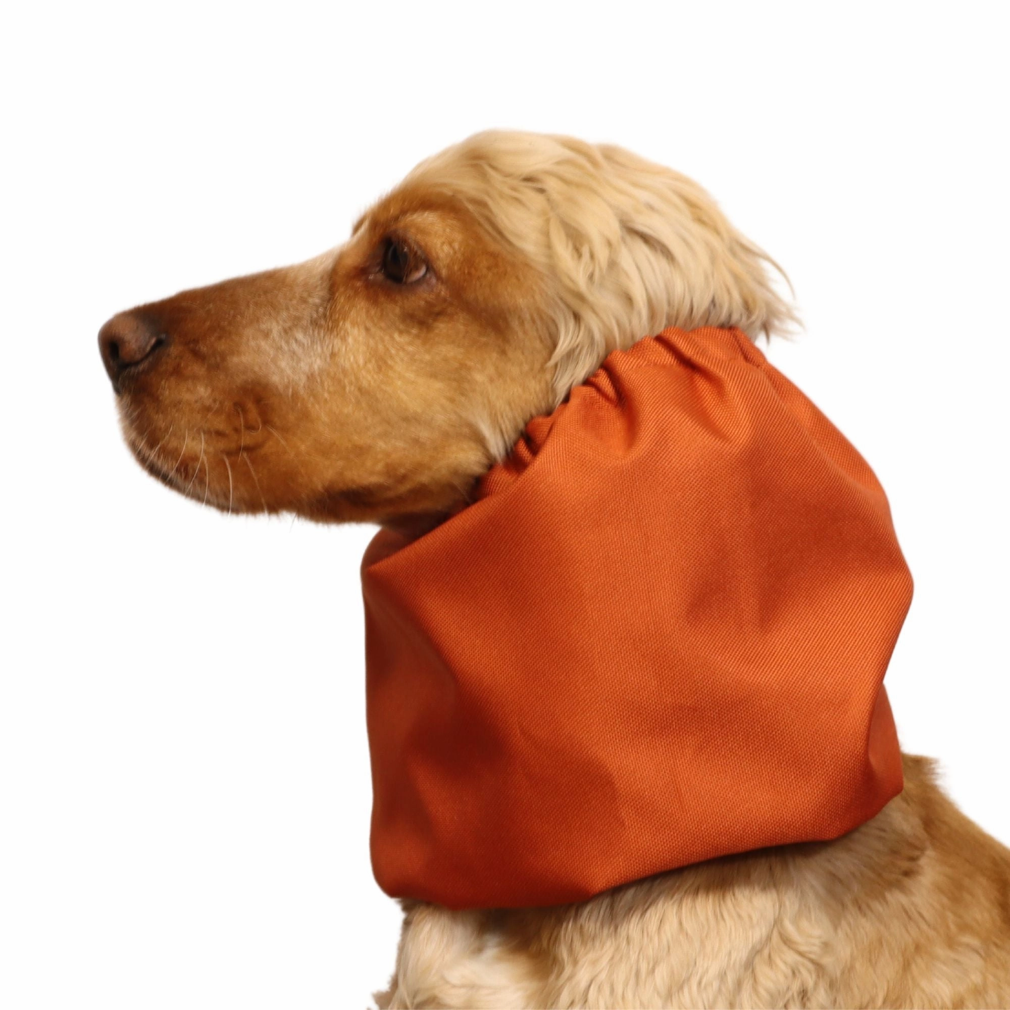 Waterproof Dog Snood | Burnt Orange