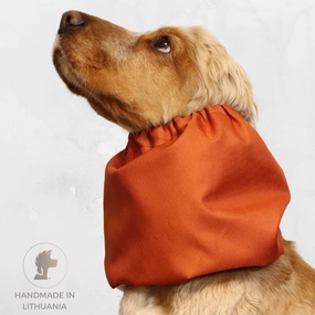 Waterproof Dog Snood | Burnt Orange