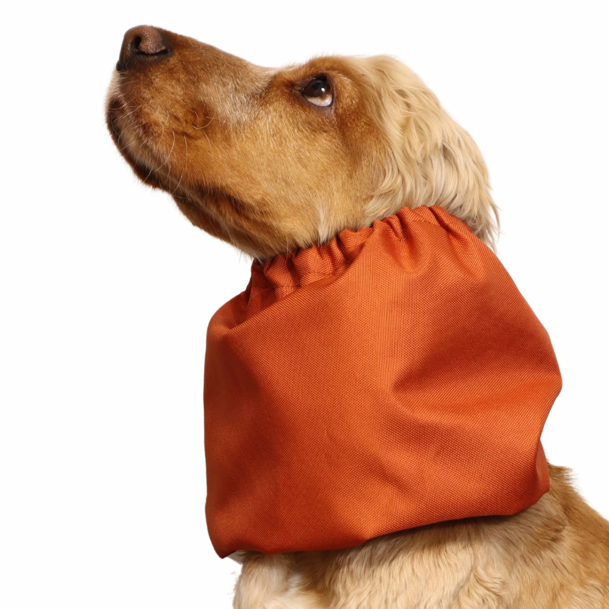 Waterproof Dog Snood | Burnt Orange