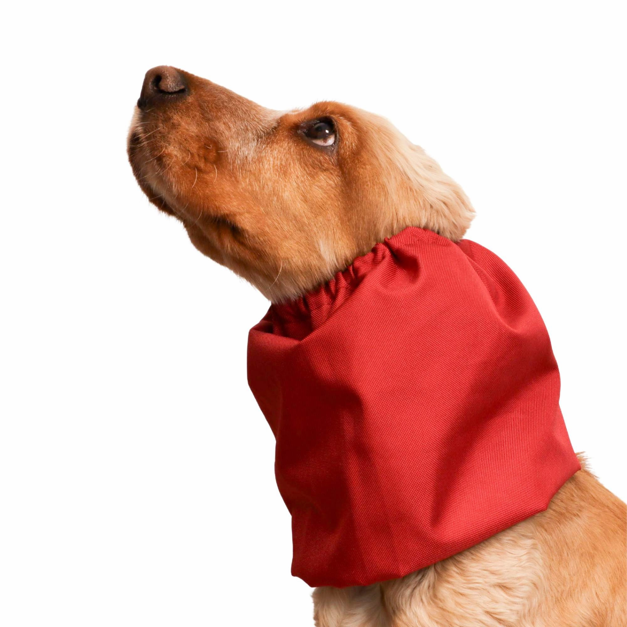 Waterproof Dog Snood | Cherry Flame