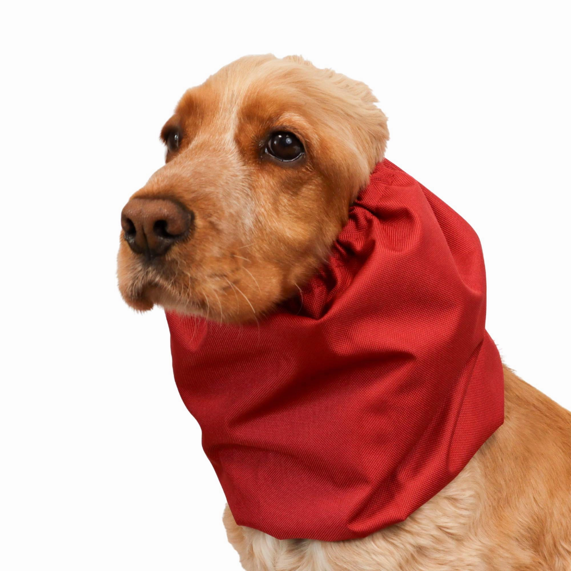 Waterproof Dog Snood | Cherry Flame