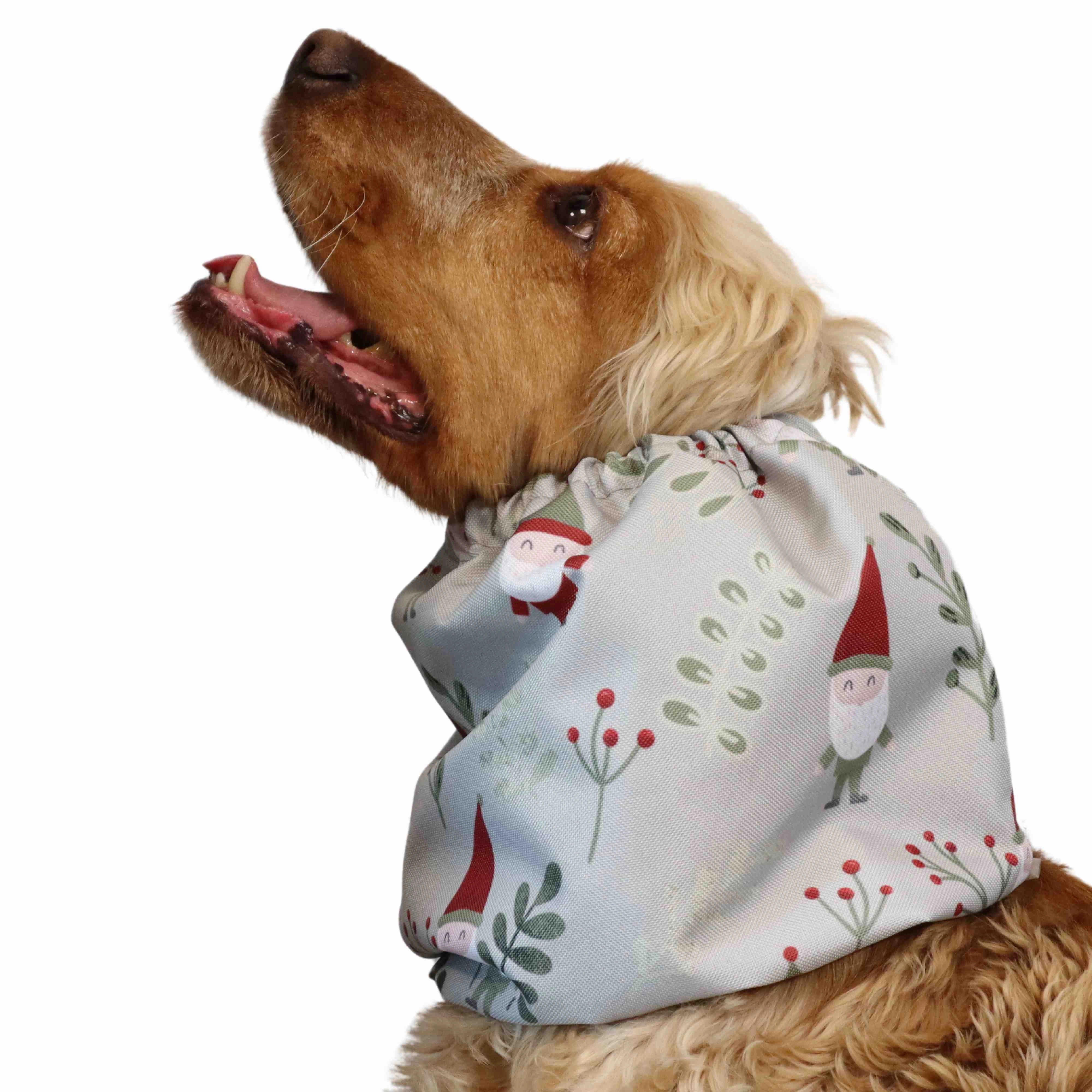 Waterproof Dog Snood | Christmas Elf