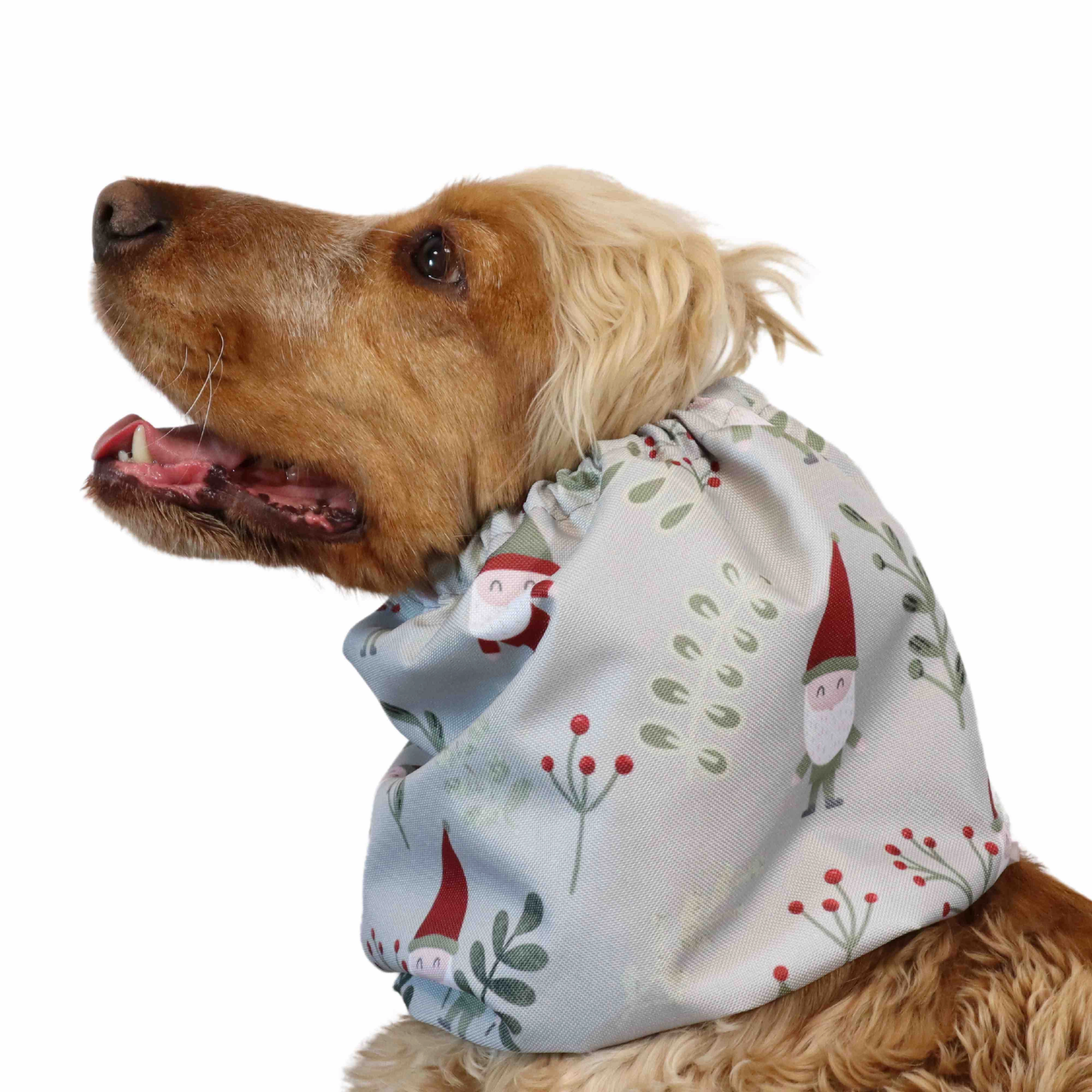 Waterproof Dog Snood | Christmas Elf