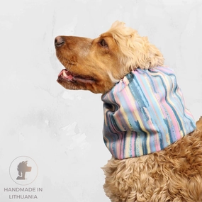 Waterproof  Dog Snood | Colourful Strips