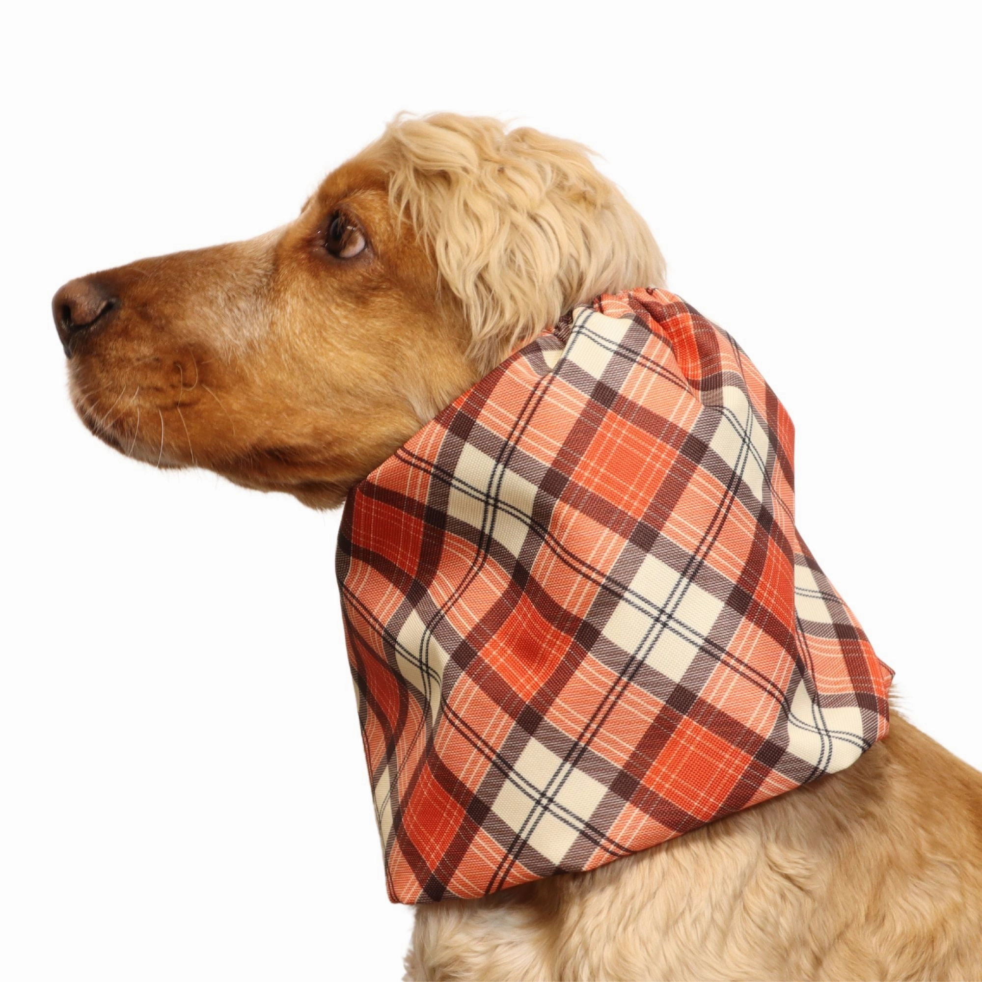 Waterproof Dog Snood | Copper Tartan