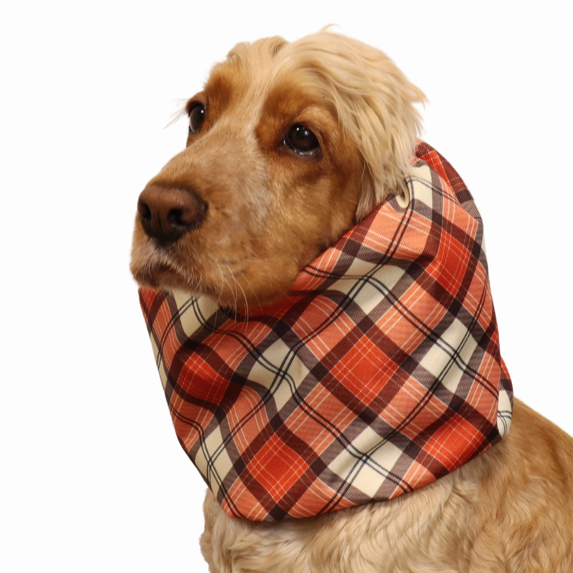 Waterproof Dog Snood | Copper Tartan